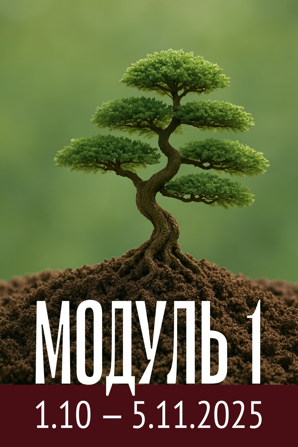 Модуль 1 магистратуры