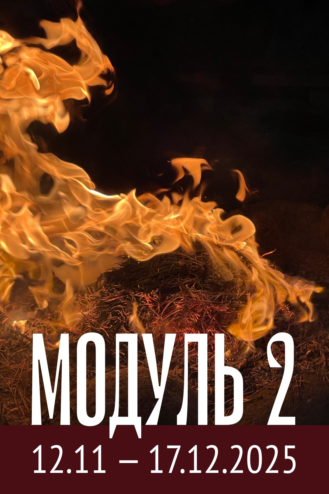 Модуль 2 магистратуры