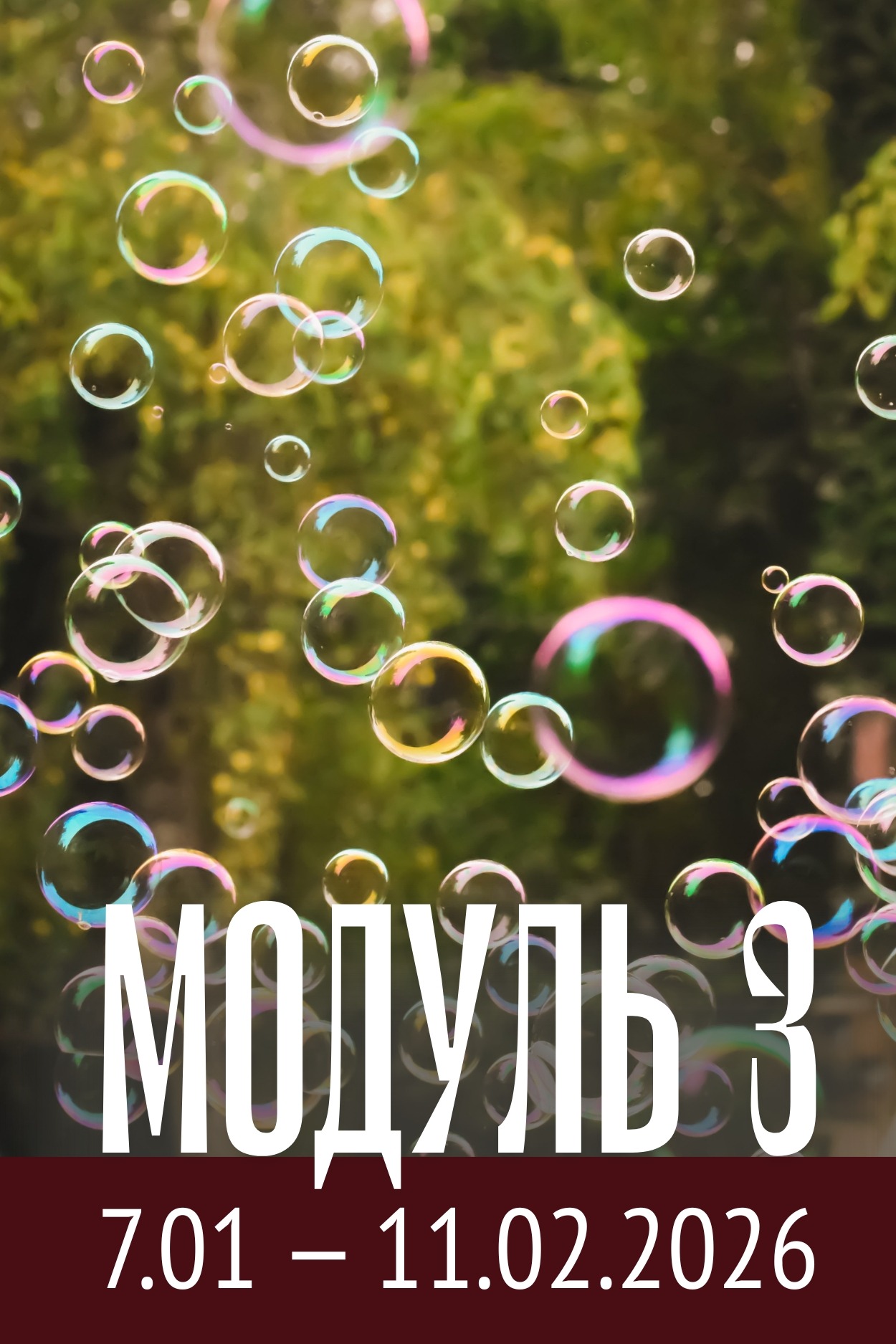 Модуль 3 магистратуры