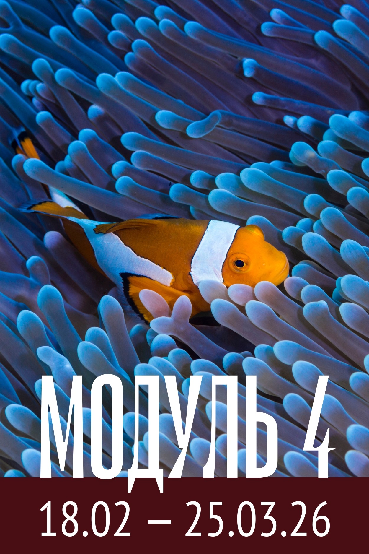 Модуль 4 магистратуры